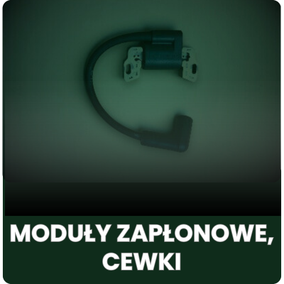 Cewki / moduły zapłonowe